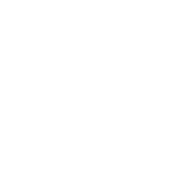Visone Logo