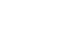 Visone Logo