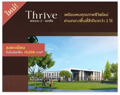 our-promotion